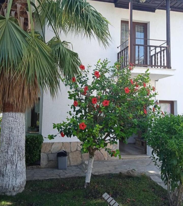 Nehir Dalyan Boutique Otel Ortaca  Екстер'єр фото