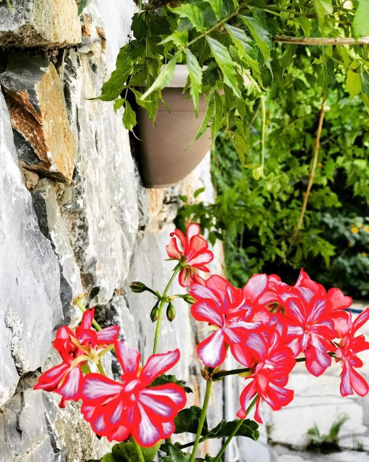 Nehir Dalyan Boutique Otel Ortaca  Екстер'єр фото